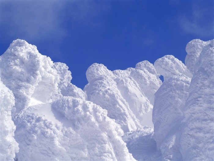 forêt, la neige fond d'écran (2) #12