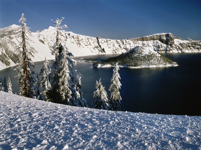 forêt, la neige fond d'écran (3) #4