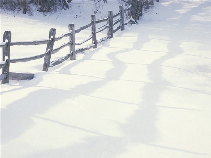 Nieve fondos de escritorio de los bosques (3) #11