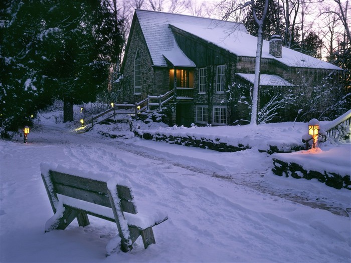 Nieve fondos de escritorio de los bosques (3) #19