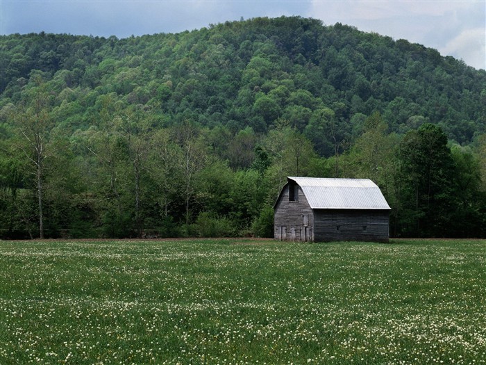 Faits saillants de paysages naturels (1) #16