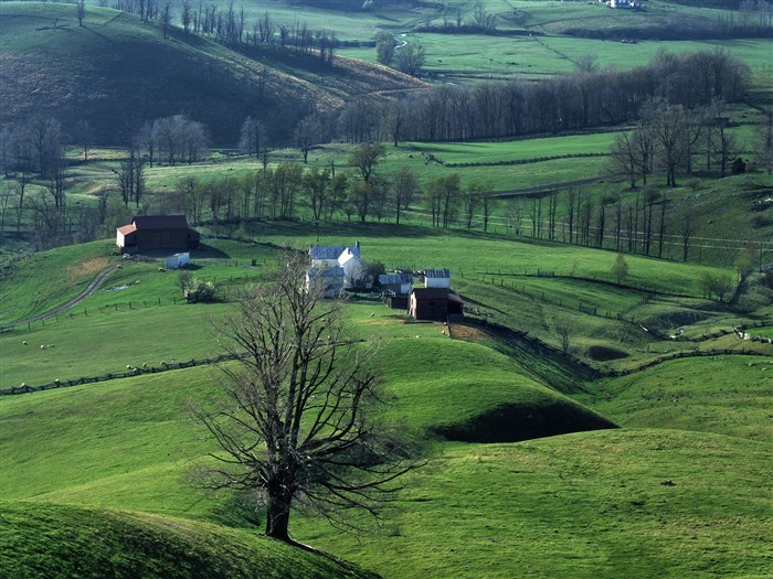 Faits saillants de paysages naturels (2) #8