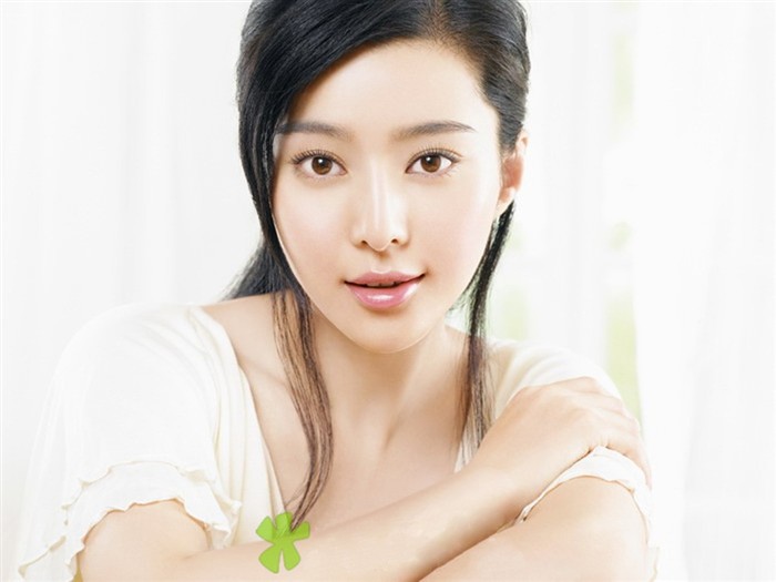 Fan Bingbing wallpaper album (2) #18