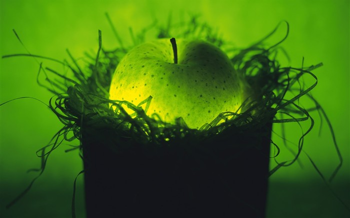 Light fruit Feature (2) #14