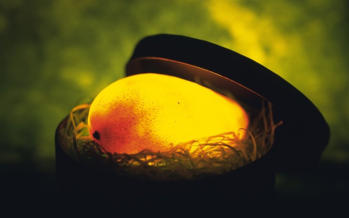 Light fruit Feature (2) #19