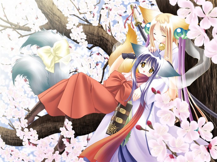 Sakura dance lovely MM (1) #15