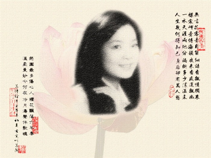 Teresa Teng Fondos álbum #4