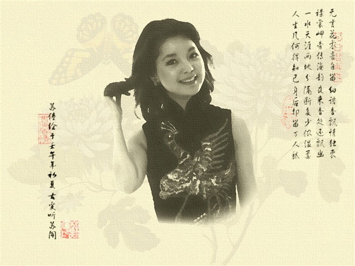 Teresa Teng Bilder Album #9