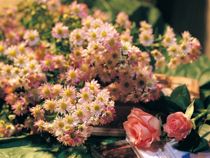 室内の花の壁紙(1) #19