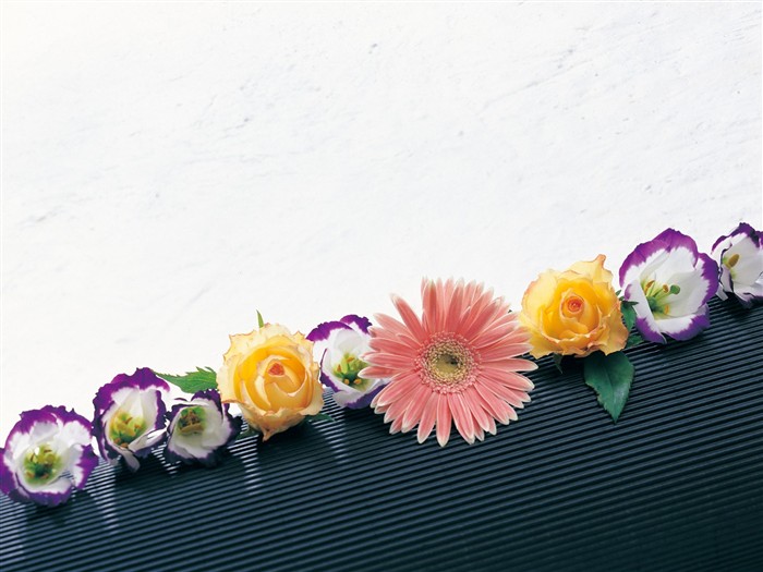 Fondo de pantalla cubierta de flores (1) #27
