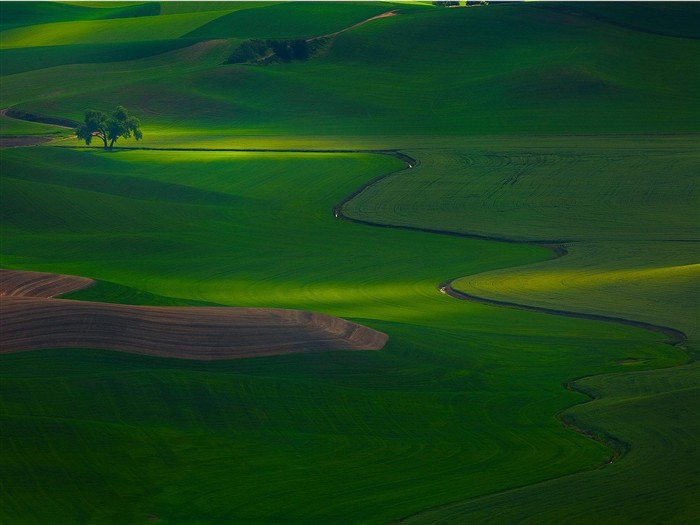 Schöne Landschaft Tapeten Alben #20