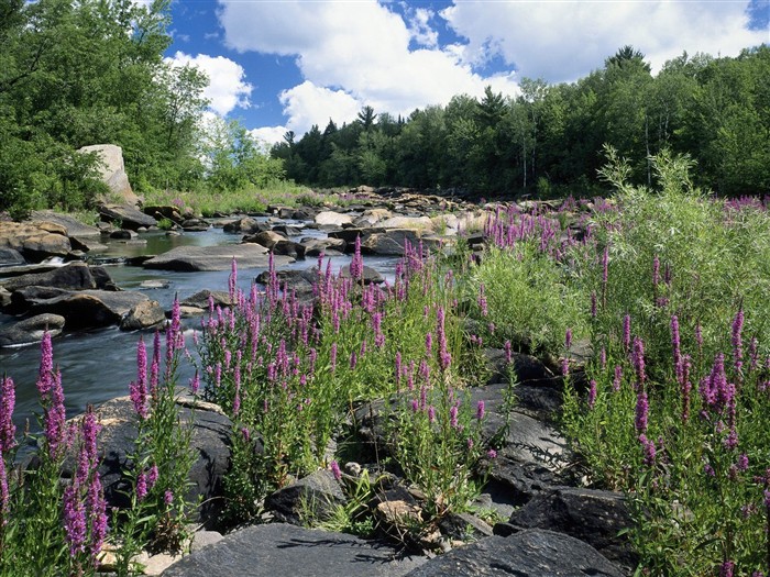 Webshots paysages naturels Fond d'écran #12