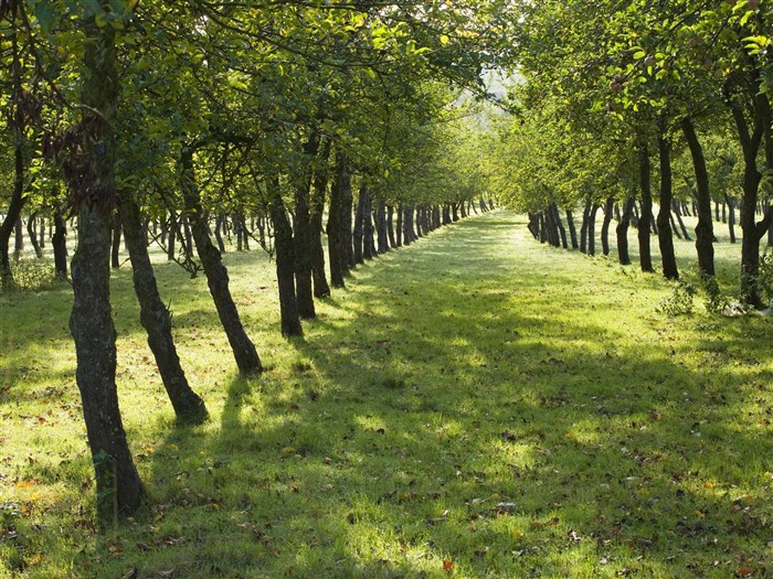 Webshots paysages naturels Fond d'écran #23