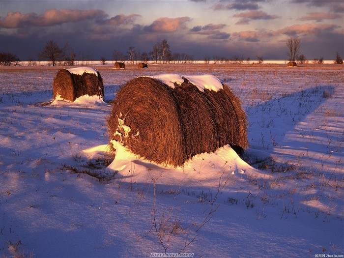 Faits saillants de paysages naturels (4) #9