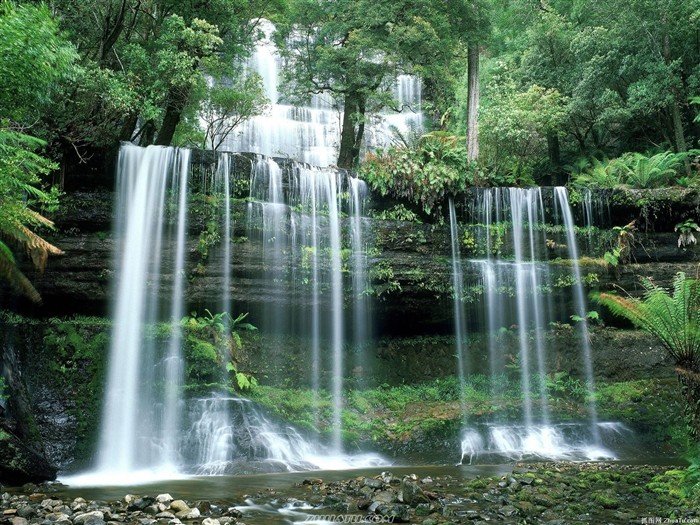 Cataratas del Bosque Fondo de pantalla HD #1