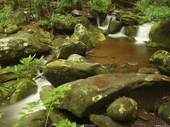 Cataratas del Bosque Fondo de pantalla HD #16