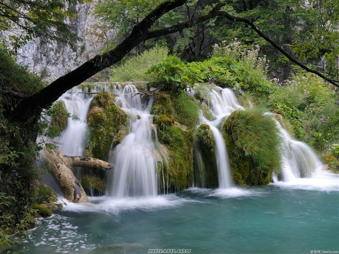 Cataratas del Bosque Fondo de pantalla HD #17