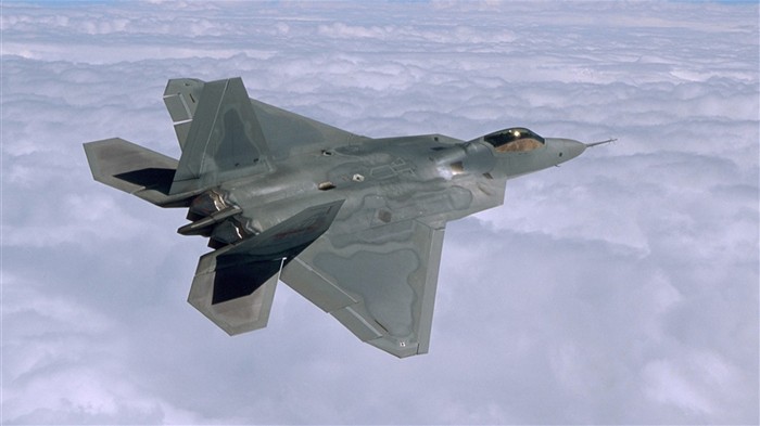 에 F - 22 