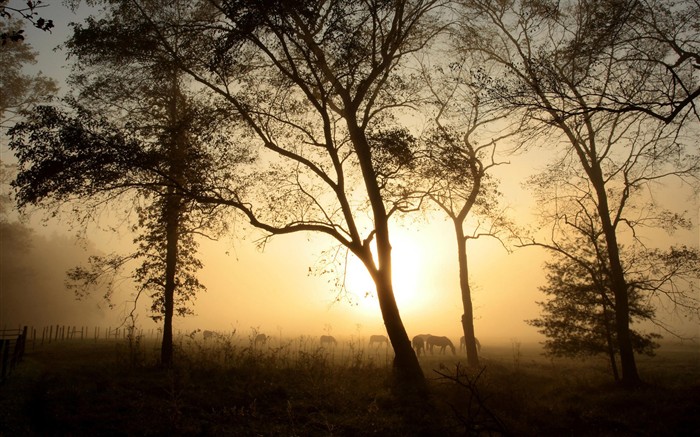 Hermosa puesta de sol salida del sol y fondos de escritorio #25