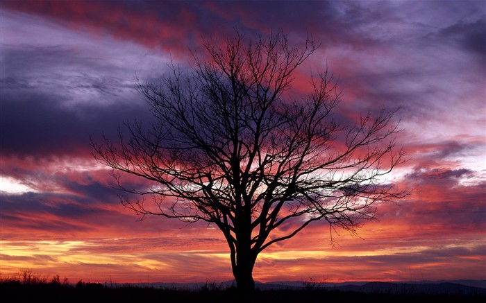 Hermosa puesta de sol salida del sol y fondos de escritorio #39