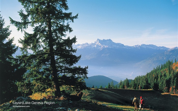 Švýcarsko wallpaper atrakcí letní turistiku #1