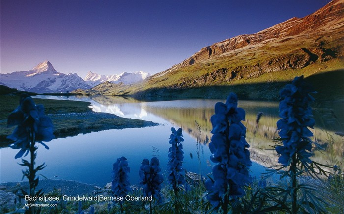 Suiza fondos de escritorio de lugares de interés turístico de verano #10