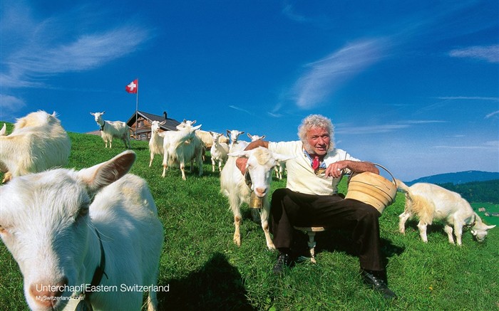 Suisse attractions fond d'écran d'été du tourisme #18