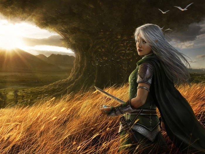 CG Illustration Fantasy Wallpaper Frauen #29