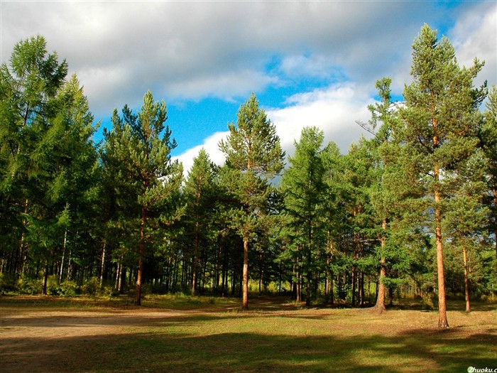 Hermoso paisaje natural en Siberia #3