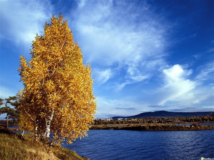 Hermoso paisaje natural en Siberia #14