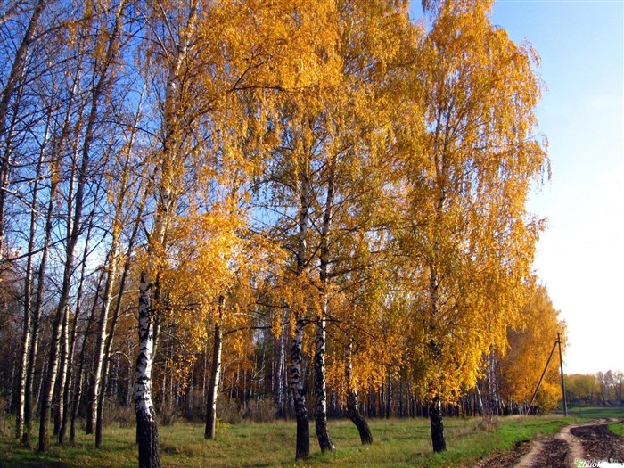 Hermoso paisaje natural en Siberia #21