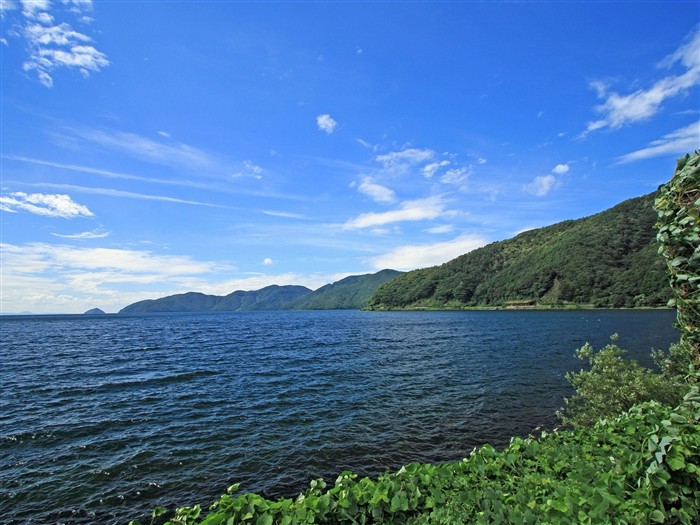 夏日北海道郊外风景1