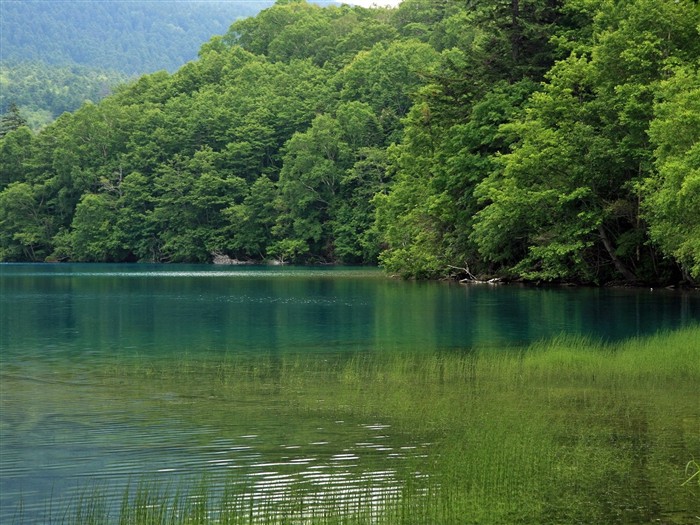 夏日北海道郊外风景8