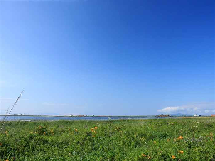 夏日北海道郊外風景 #13