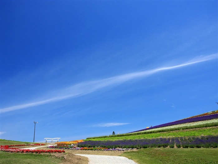 Hokkaido countryside scenery #16