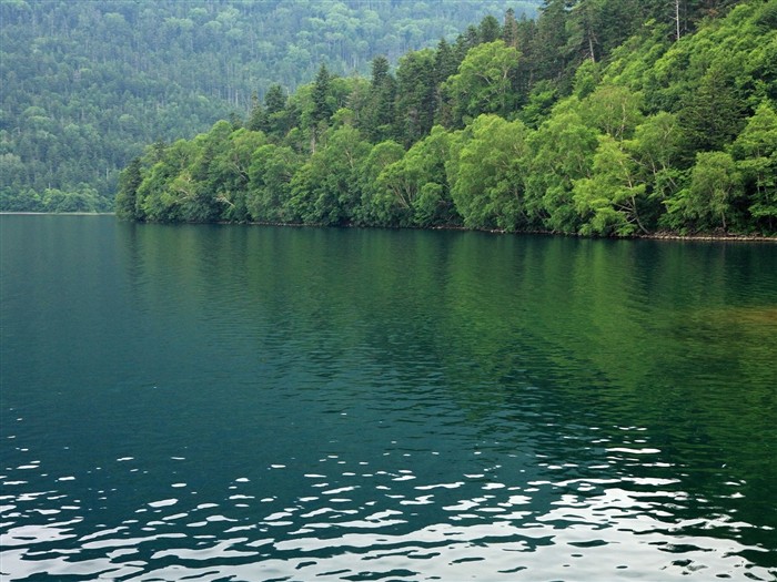 夏日北海道郊外风景17