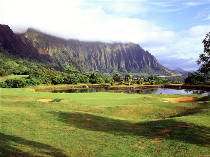 Hawaiianischer Strand Landschaft #2