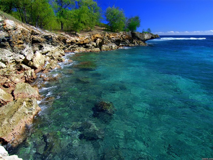 Hawaiian beach scenery #12