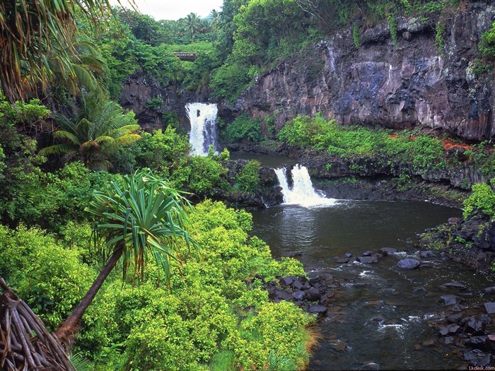 Hawaiianischer Strand Landschaft #15