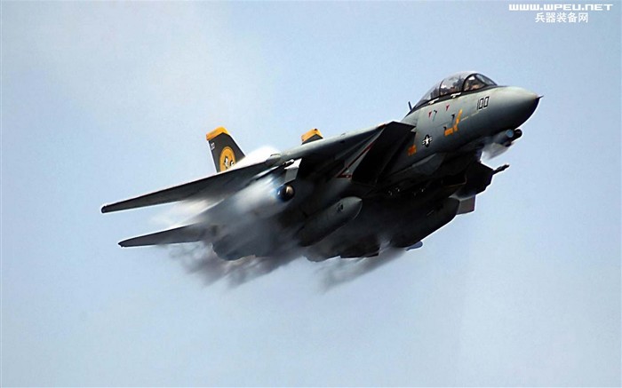 美國海軍F14雄貓戰鬥機 #1