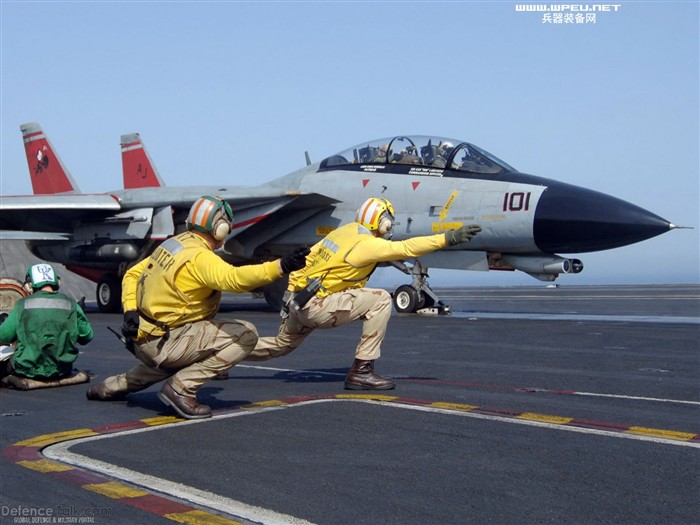 U. S. Navy F14 Tomcat Kämpfer #2