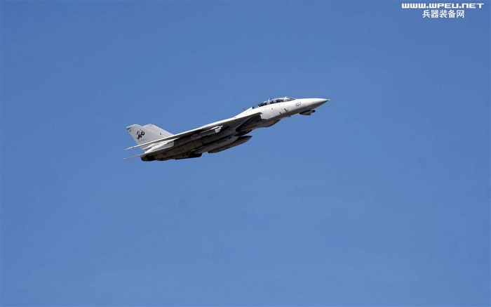 美國海軍F14雄貓戰鬥機 #3