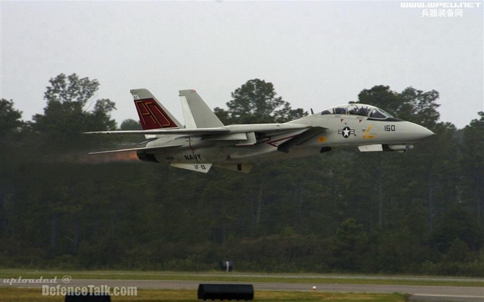 U. S. Navy F14 Tomcat Kämpfer #17