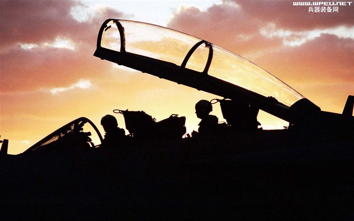 U. S. Navy F14 Tomcat Kämpfer #20