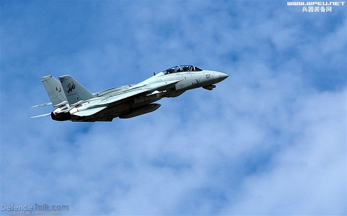 U. S. Navy F14 Tomcat Kämpfer #23