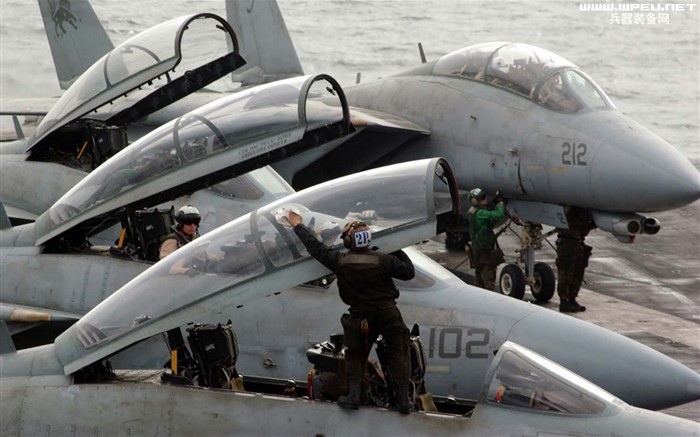 U. S. Navy F14 Tomcat Kämpfer #27