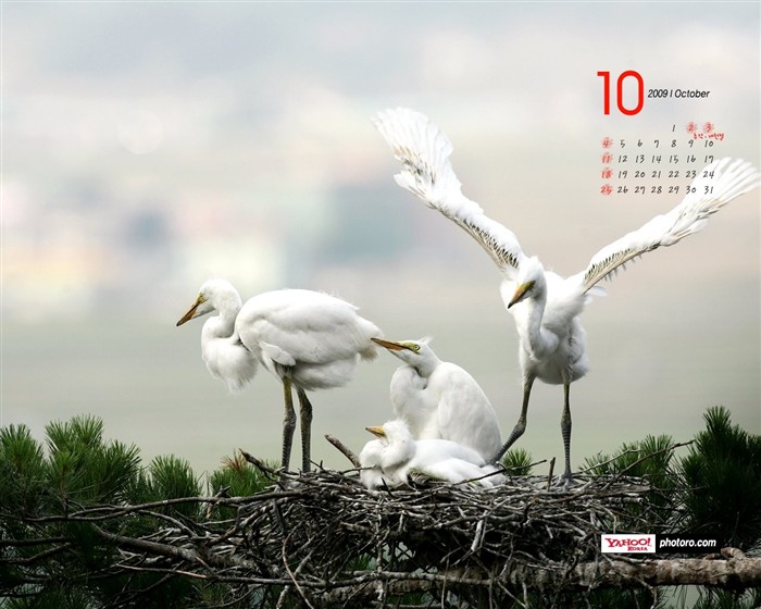 YAHOO South Korea in October Scenic Calendar #8