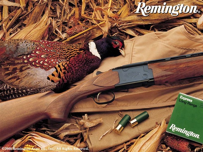 Remington-Tapete #11