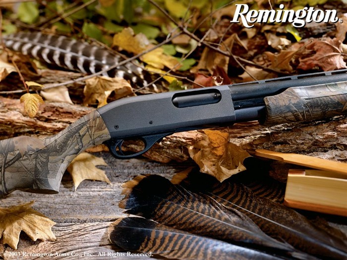 Remington-Tapete #14