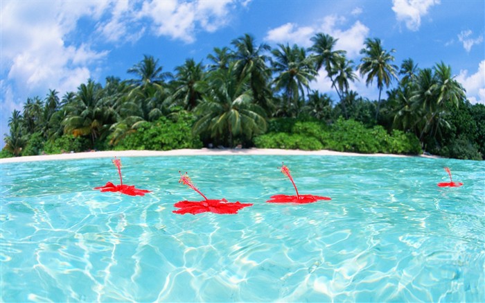 몰디브 물과 푸른 하늘 #1